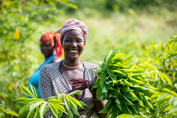 Ramata Kamara smiles whiles harvesting cassava leaves 